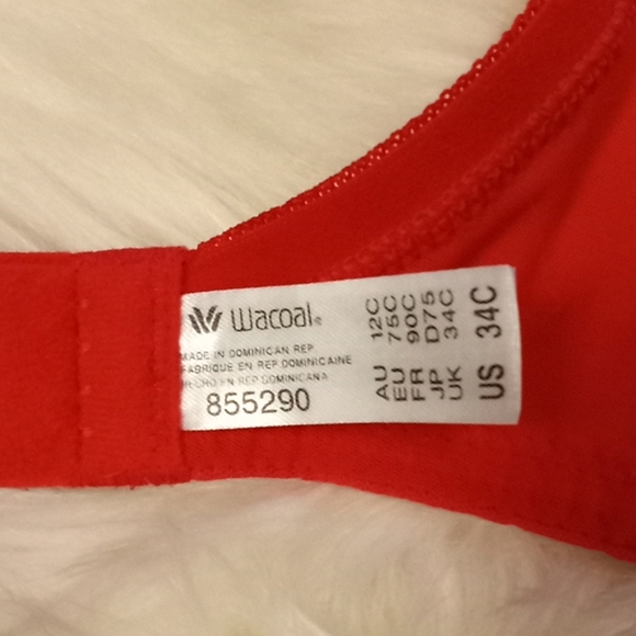 Wacoal Lace & Mesh Pinks Bra - Picture 15 of 16